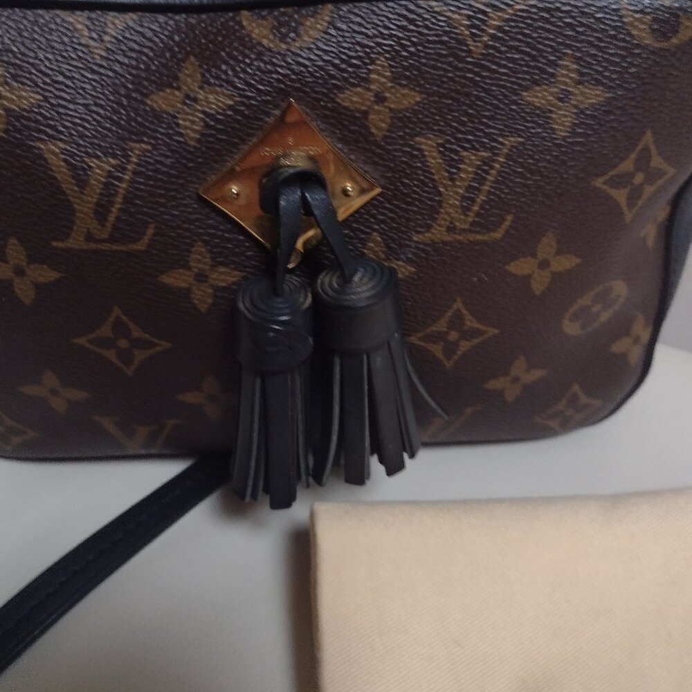 Beautiful and Rare Louis Vuitton Saintonge Noir Camera bag✨ - Picture 14 of 16
